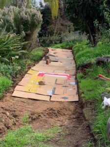 Customer adds a layer of cardboard to impede grass growth | SPVS