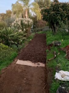 Monkey Hair Mulch applied above compostable cardboard | SPVS