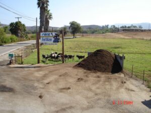 Konyn Dairy Cows and Aged Cow Manure | SPVSoils