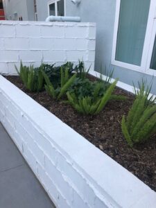Mid-City Family Apts. Planter #3 - San Diego | SPVS