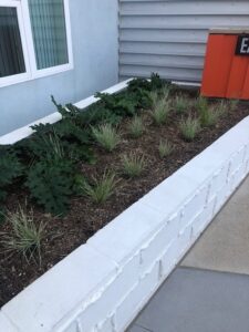 Mid-City Family Apts. Planter #4 - San Diego | SPVS