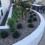 Mid-City Family Apts. Planter #5 – San Diego | SPVS