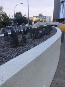 Mid-City Family Apts. Planter #6 - San Diego | SPVS