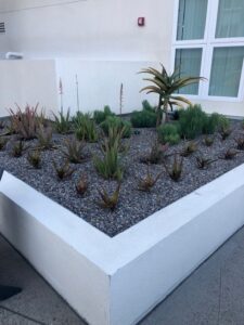 Mid-City Family Apts. Planter #7 - San Diego | SPVS