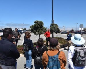 CRRA 'Surf to Turf' Conference August 6th | SPV Soils