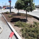 CRRA ‘Surf to Turf’ Conference Mulch Application | SPV Soils