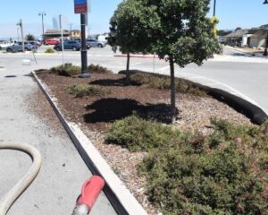 CRRA 'Surf to Turf' Conference Mulch Application | SPV Soils