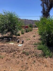 SD Zoo Safari Park Browse Farm with Grower's Mulch - SPVS office in background | SPV Soils