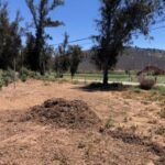 SD Zoo Safari Park Browse Farm with Grower’s Mulch pile – SPVS entrance in background | SPV Soils