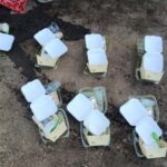 Compostable Foodware Pilot Samples | SPV Soils