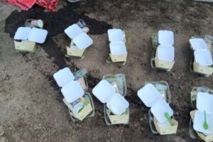 Compostable Foodware Pilot Samples | SPV Soils