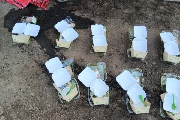 Compostable Foodware Pilot Samples | SPV Soils