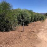 SD Zoo Safari Park Browse Farm with Grower’s Mulch | SPV Soils