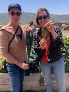 FPGS Garden Workshop attendees hold up Kale grown with and without Nitrogen added to RGBM soil with Supplemental Nitrogen | SPVSoils