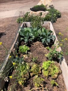 Raised Garden Bed Mix without Supplemental Nitrogen | SPVSoils