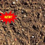 New Protea Mix | SPV Soils
