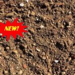 New Lightweight Protea Mix | SPV Soils