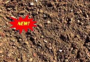 New Lightweight Protea Mix | SPV Soils