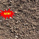 New SPV Soils Cactus Succulent Mix