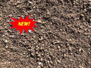 New SPV Soils Cactus Succulent Mix
