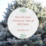 Recycle Christmas Trees | SPV Soils