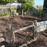 First-time FPGS participant’s garden freshly mulched | SPV Soils