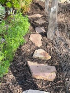 First-time FPGS participant's pathway | SPV Soils