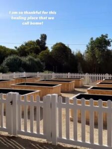 Stephanie's emerging Healing Garden | SPV Soils