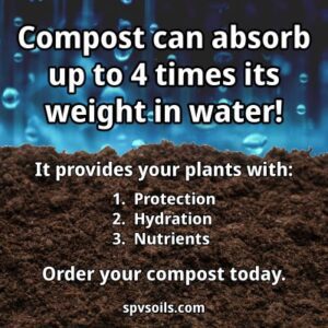 Compost can absorb up to 4 times its weight in water! | SPV Soils