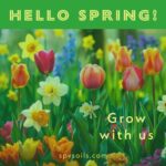 Hello Spring! | SPV Soils