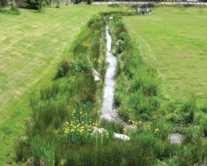 Filtrexx® GroSoxx® in Bioswale | SPV Soils