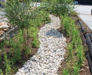 Filtrexx® GroSoxx® Bioswale | SPV Soils