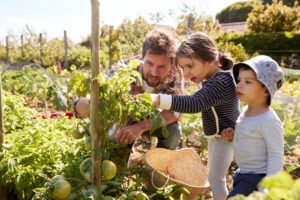 Products | SPVSoils Man gardeing with daughters