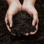 Compost | SPV Soils