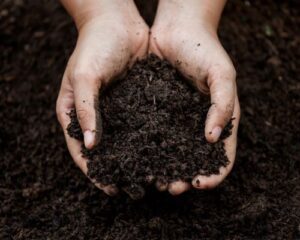 Compost | SPV Soils
