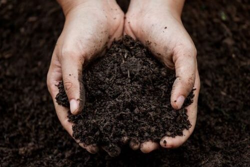 Compost… A recipe for regeneration