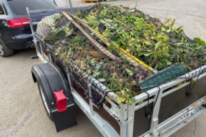 Green Waste Recycling | SPV Soils
