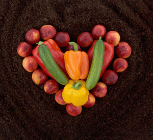 SPVSoils Price Sheet