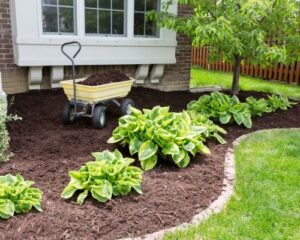 Mulch | SPV Soils