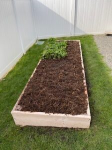 Raised Garden Bed dressed with Monkey Hair Mulch® | SPV Soils