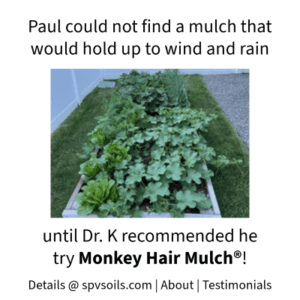 Monkey Hair Mulch® will stay in place during wind and rain! | SPV Soils