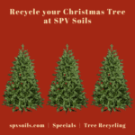 No charge to recycle your Christmas Tree at SPV Soils | SPV Soils