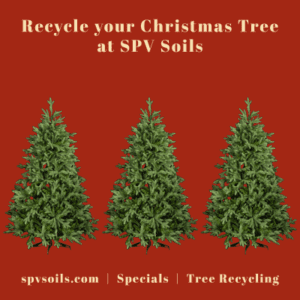 No charge to recycle your Christmas Tree at SPV Soils | SPV Soils