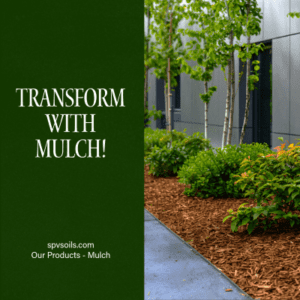 Transform the Landscape with Mulch | SPV Soils
