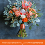 International Protea Conference | SPV Soils