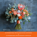 International Protea Conference | SPV Soils