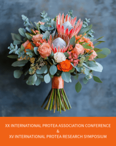 International Protea Conference | SPV Soils