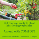 Plant heat-loving vegetables with compost | SPV Soils
