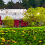 5 Star Customer Review | SPV Soils