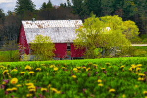 5 Star Customer Review | SPV Soils